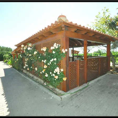 Flor Da Laranja, By Algarveblossom Daire