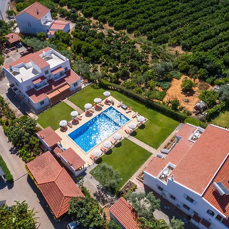 Flor Da Laranja, By Algarveblossom Daire *