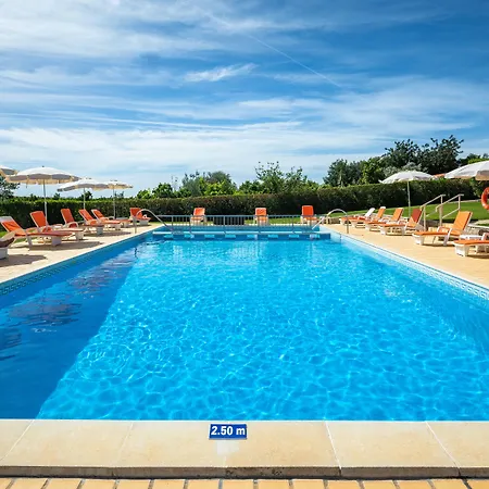 Flor Da Laranja, By Algarveblossom *