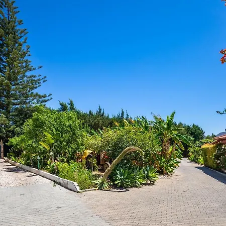 Flor Da Laranja, By Algarveblossom Daire