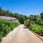 Appartement Flor Da Laranja, By Algarveblossom Albufeira