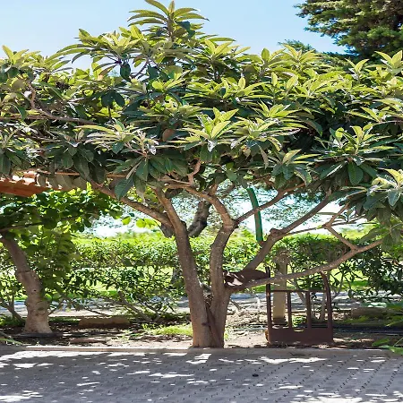 Flor Da Laranja, Apartamento *