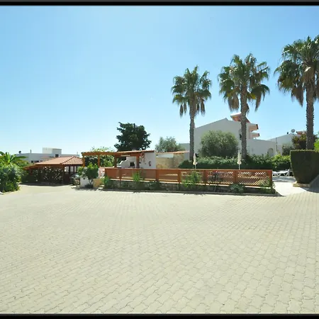 Flor Da Laranja, By Algarveblossom