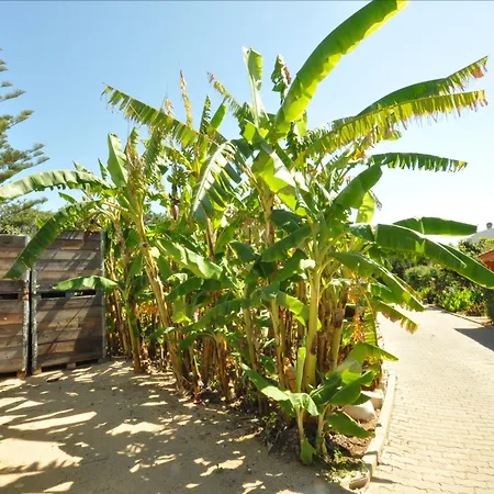 Lägenhet Flor Da Laranja, By Algarveblossom *