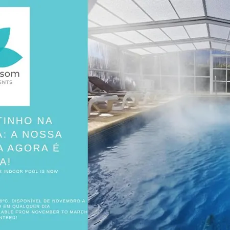 Flor Da Laranja, By Algarveblossom Lejlighed