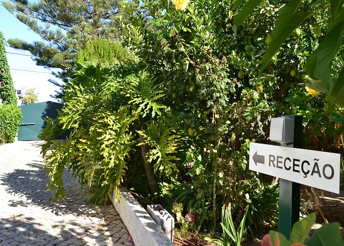 Flor Da Laranja, By Algarveblossom * Albufeira