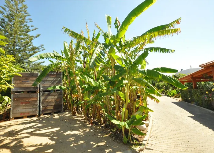 Apartman Flor Da Laranja, By Algarveblossom *