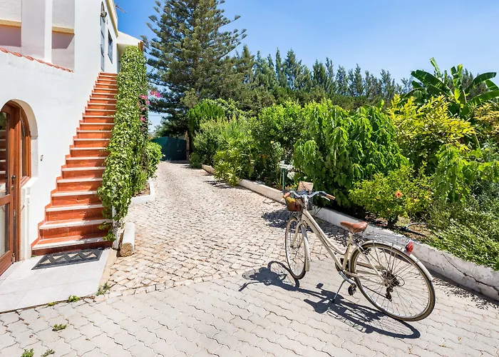 Flor Da Laranja, By Algarveblossom * Albufeira