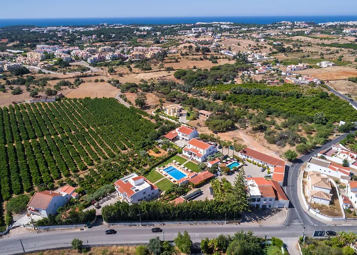 Flor Da Laranja, By Algarveblossom Albufeira