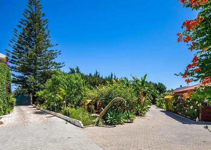 Flor Da Laranja, By Algarveblossom Apartman